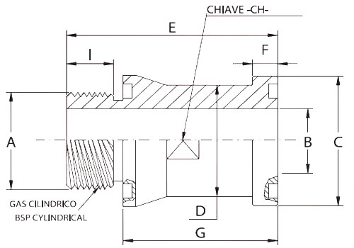 Adaptor Flansa SFS 6 filet exterior BSPP O-Ring poza tehnica