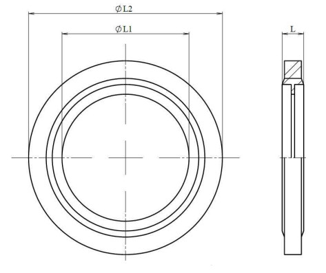 Inox-viton GAZ poza tehnica